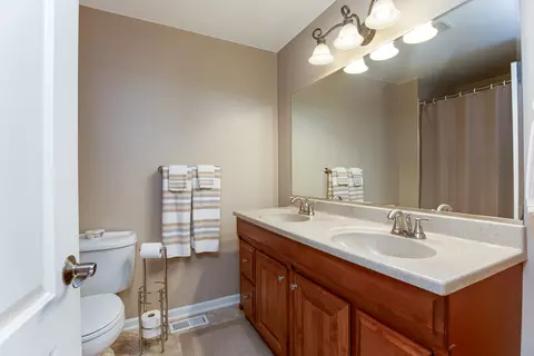 Bath - 1017 Auburn Ln, Bartlett, IL 60103 photo 3 of 4