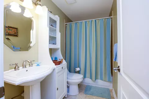 Bath - 1017 Auburn Ln, Bartlett, IL 60103 photo 4 of 4