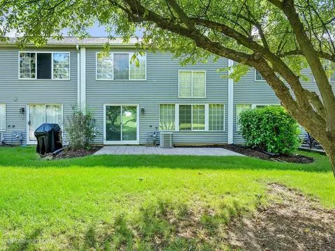 Exterior - 1273 River Ash Ct, Bartlett, IL 60103 photo 4 of 7