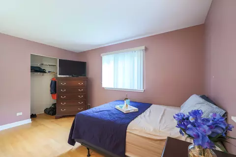 Bedroom - 255 Frederick Ct, Hoffman Estates, IL 60169 photo 2 of 4