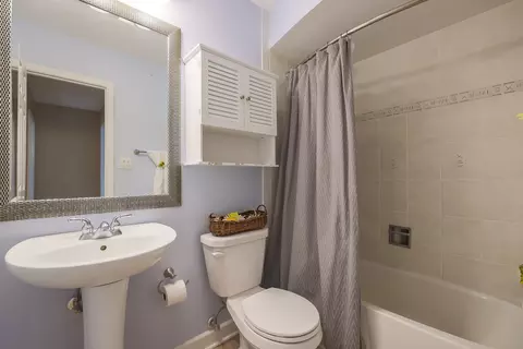 Bath - 255 Frederick Ct, Hoffman Estates, IL 60169 photo 2 of 2