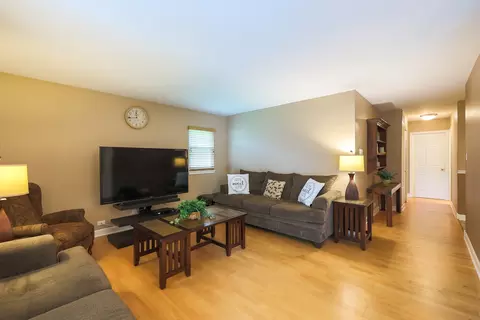Living - 255 Frederick Ct, Hoffman Estates, IL 60169 photo 3 of 3