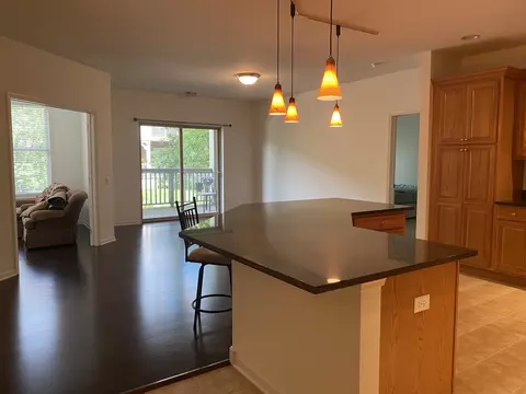 Living - 275 E Railroad Ave #108, Bartlett, IL 60103 photo 1 of 4