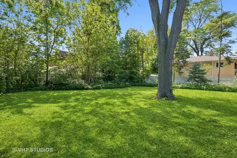 259 Cornell Ave, Des Plaines, IL 60016 photo 25