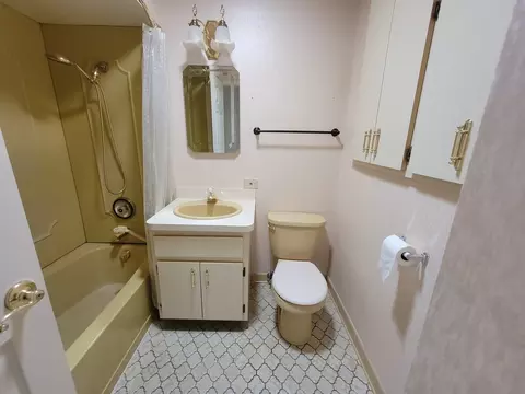 Bath - 58 Arrowhead Dr, Thornton, IL 60476 photo 1 of 1