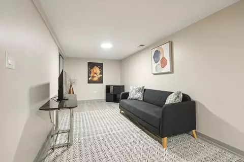 718 E 88th Pl, Chicago, IL 60619 photo 22