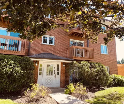 519 W Central Rd #L-1B, Mount Prospect, IL 60056