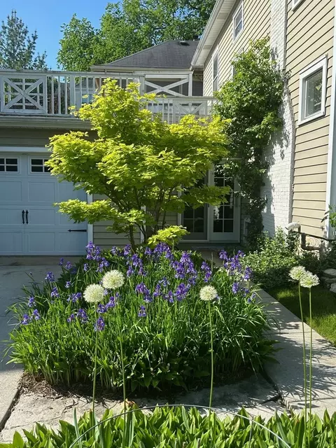 747 Forest Ave, Evanston, IL 60202 photo 27