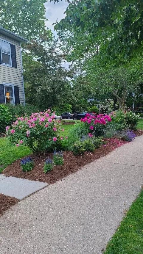 747 Forest Ave, Evanston, IL 60202 photo 29