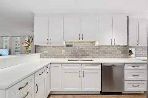 200 E Delaware Pl #9F, Chicago, IL 60611 photo 13