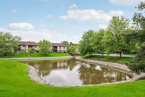 1005 Harbour Dr #2B, Wheeling, IL 60090 photo 30