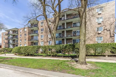 250 Ridge Ave #3A, Evanston, IL 60202