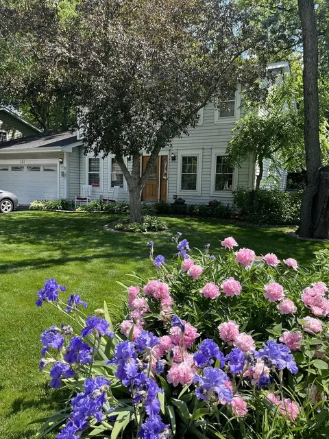 361 S Hickory Ave, Bartlett, IL 60103 photo 2