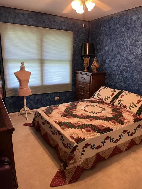 361 S Hickory Ave, Bartlett, IL 60103 photo 22