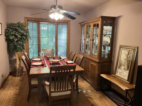 361 S Hickory Ave, Bartlett, IL 60103 photo 9