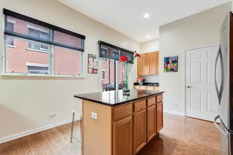 844 W 15th Pl, Chicago, IL 60608 photo 14