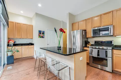 844 W 15th Pl, Chicago, IL 60608 photo 19