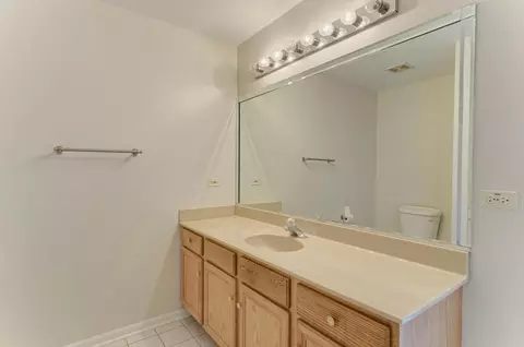 209 E Lake St #D, Addison, IL 60101 photo 21