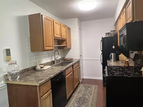725 Hill Dr #206, Hoffman Estates, IL 60169 photo 7