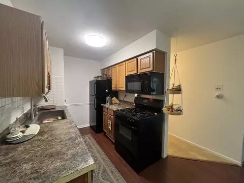 725 Hill Dr #206, Hoffman Estates, IL 60169 photo 8