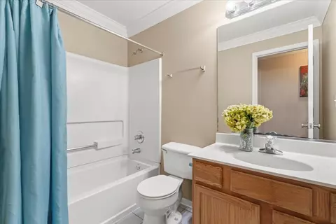 7318 Torrey Cir, Plainfield, IL 60586 photo 24