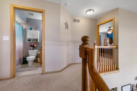 25840 S Daffodil Ln, Monee, IL 60449 photo 18