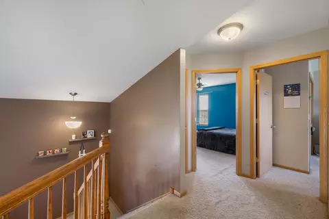 25840 S Daffodil Ln, Monee, IL 60449 photo 19