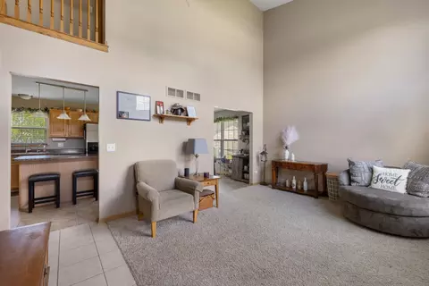 25840 S Daffodil Ln, Monee, IL 60449 photo 5