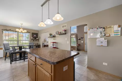 25840 S Daffodil Ln, Monee, IL 60449 photo 12