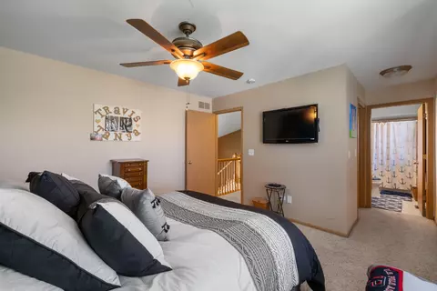 25840 S Daffodil Ln, Monee, IL 60449 photo 21