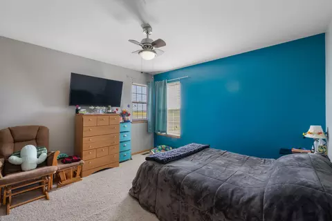 25840 S Daffodil Ln, Monee, IL 60449 photo 25