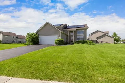 25840 S Daffodil Ln, Monee, IL 60449 photo 2
