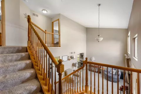 25840 S Daffodil Ln, Monee, IL 60449 photo 17