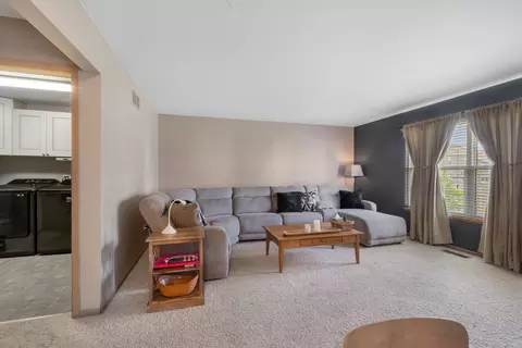 25840 S Daffodil Ln, Monee, IL 60449 photo 15