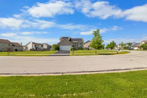 25840 S Daffodil Ln, Monee, IL 60449 photo 4