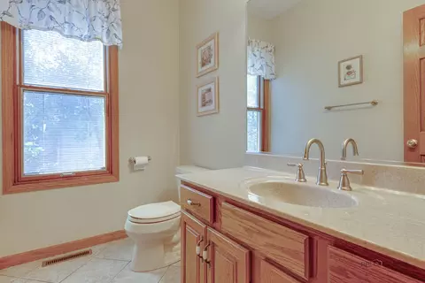 580 Tanglewood Ct, Algonquin, IL 60102 photo 17