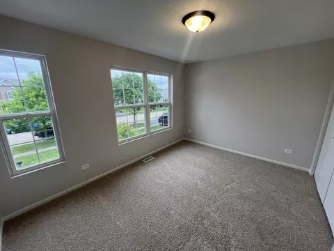 340 Coneflower Dr, Minooka, IL 60447 photo 19