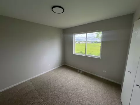 340 Coneflower Dr, Minooka, IL 60447 photo 18