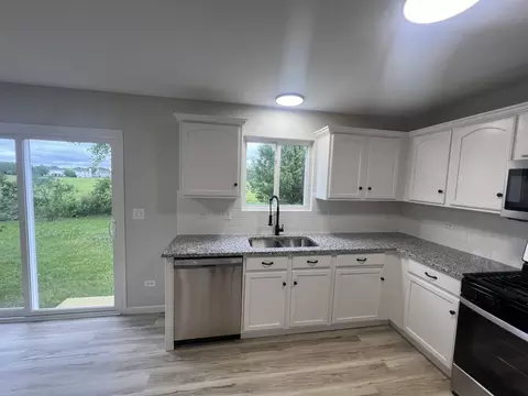 340 Coneflower Dr, Minooka, IL 60447 photo 8