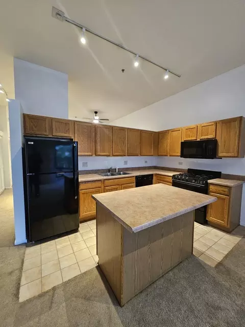1000 E 53rd St #314S, Chicago, IL 60615 photo 8