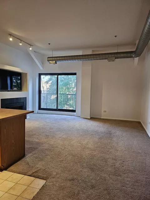 1000 E 53rd St #314S, Chicago, IL 60615 photo 6