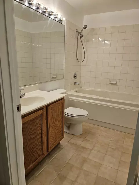 1000 E 53rd St #314S, Chicago, IL 60615 photo 5