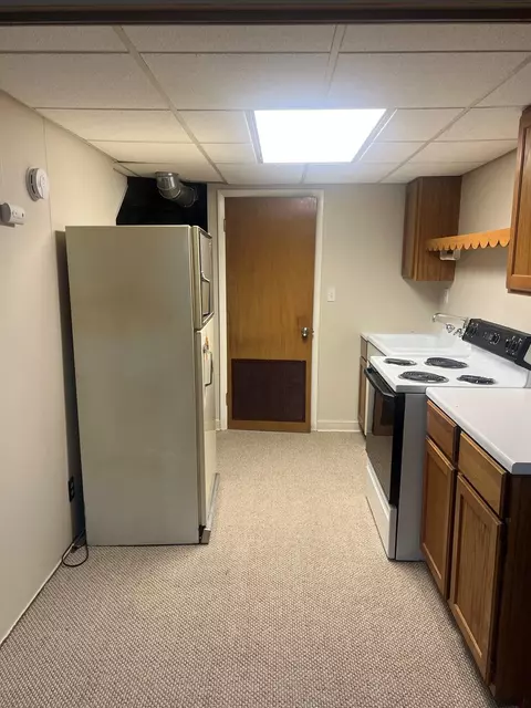 15223 S Des Plaines St, Plainfield, IL 60544 photo 25
