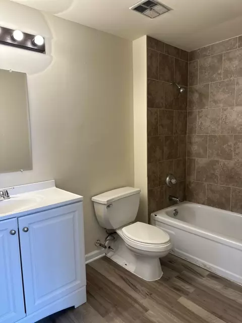 Bath - 5531 Allemong Dr #5531, Matteson, IL 60443 photo 1 of 1