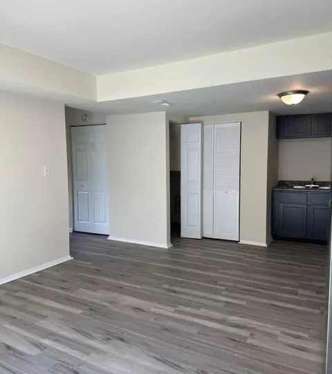 Living - 5531 Allemong Dr #5531, Matteson, IL 60443 photo 4 of 4
