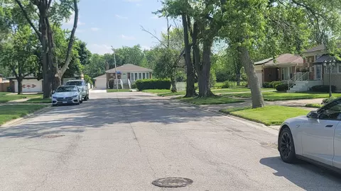 15733 Ingleside Ave, Dolton, IL 60419 photo 11