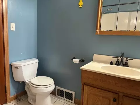 Bath - 704 Woolf Ct, Rochelle, IL 61068 photo 2 of 4