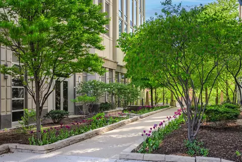 700 N Larrabee St #1115, Chicago, IL 60654