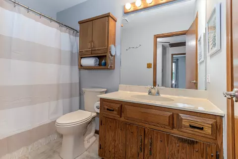 Bath - 207 Deerhaven Dr, Minooka, IL 60447 photo 2 of 2