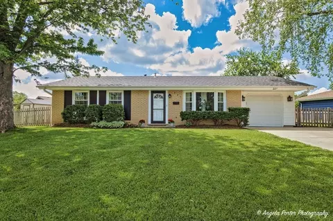 221 Serenade Ct, Schaumburg, IL 60193